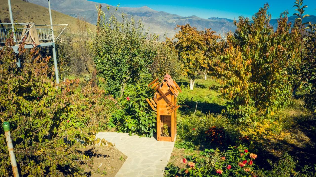 Amoj B&B And Guest House Alawerdi Zewnętrze zdjęcie