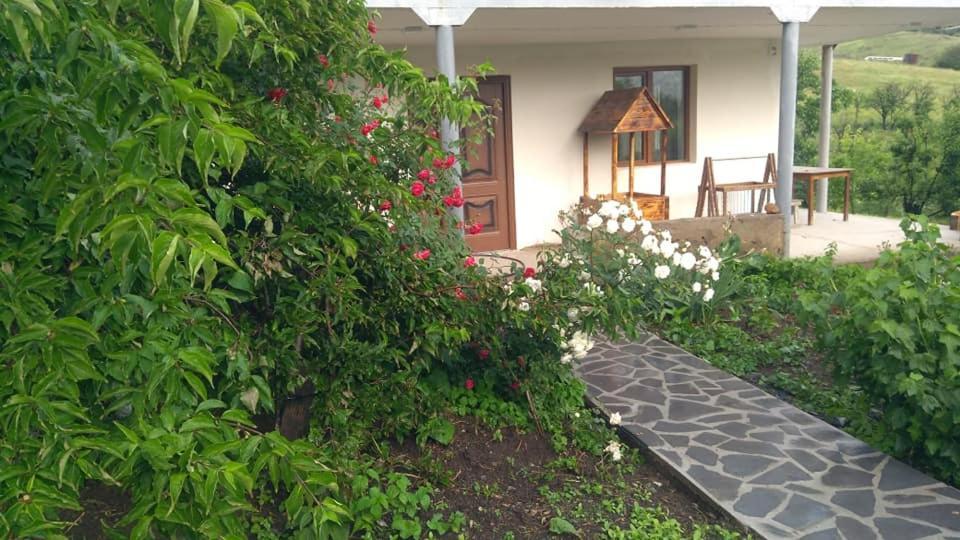Amoj B&B And Guest House Alawerdi Zewnętrze zdjęcie
