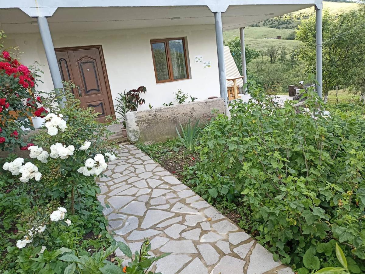 Amoj B&B And Guest House Alawerdi Zewnętrze zdjęcie